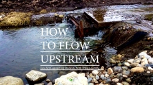 How to Flow Upstream alternate
